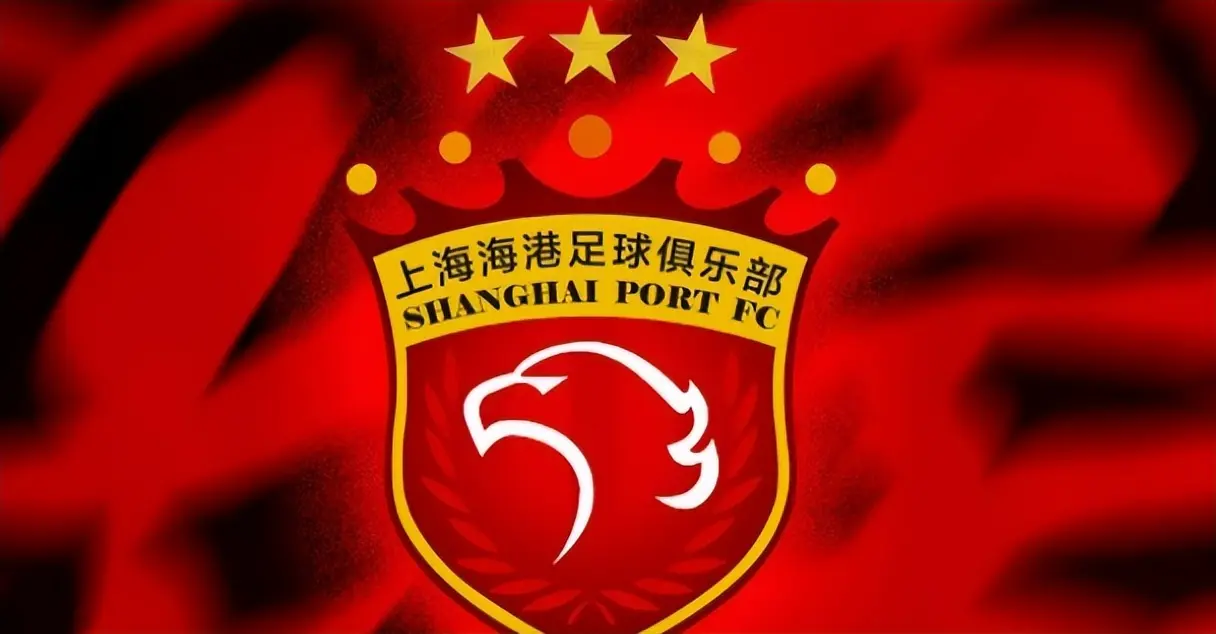 徐新复出