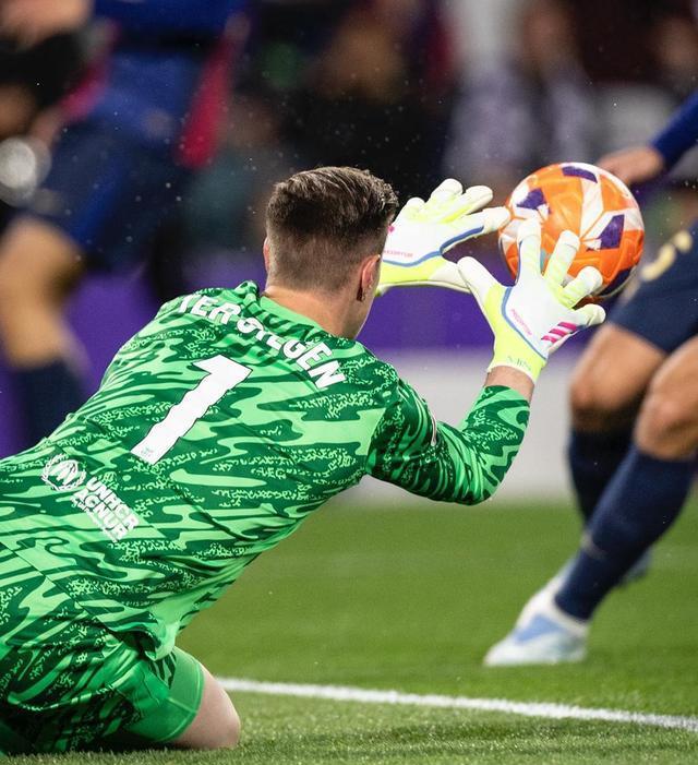 主帅纳格尔 主帅纳格尔