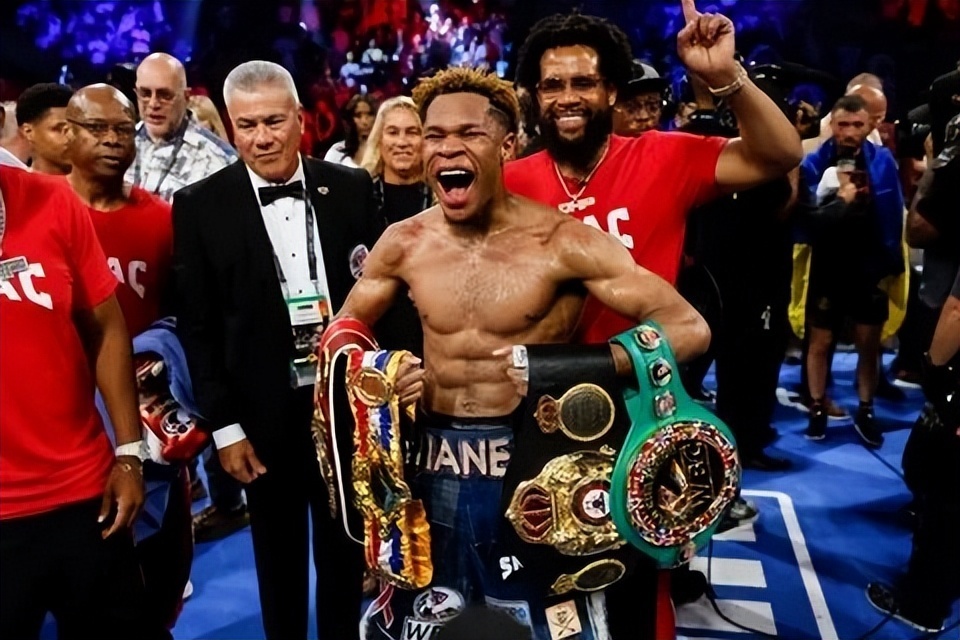 欺诈和违约, rOluI 欺诈和违约, rOluI