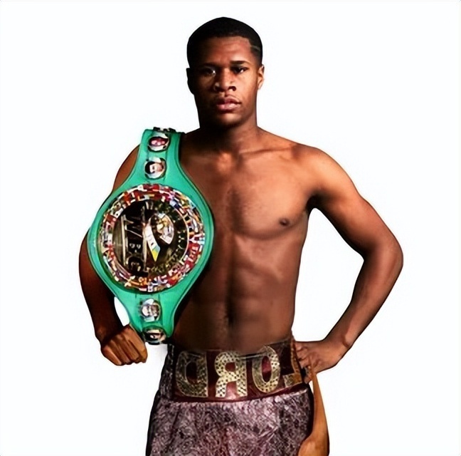 欺诈和违约 欺诈和违约